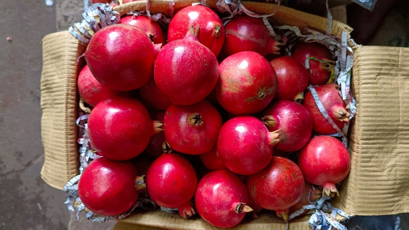 Fresh Pomegranates