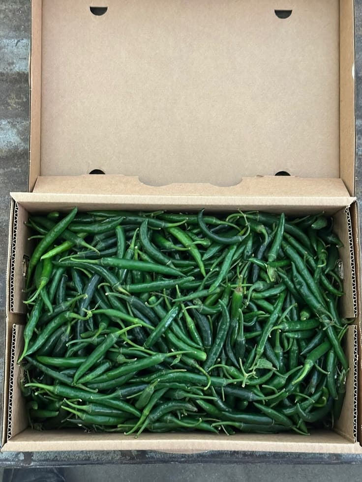Green Chillies